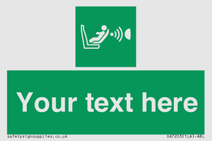 Custom safe condition child seat presence orientation detection system